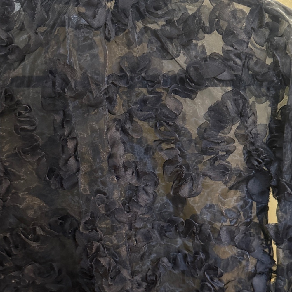 Black Sheer Ruffle Blouse - Picture 2 of 5